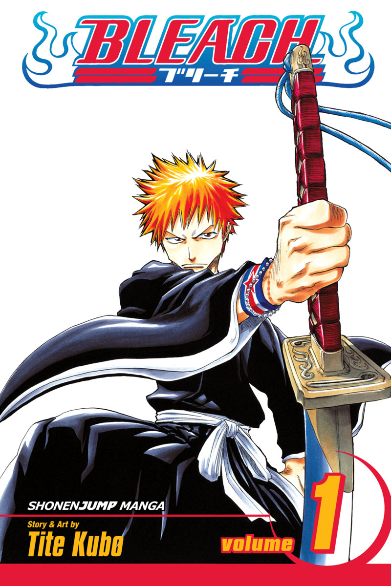 Bleach Cover